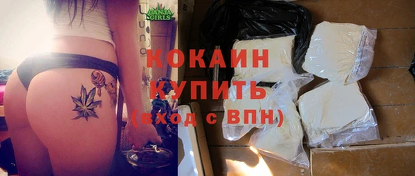 мдпв Богородицк