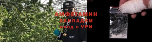 мдпв Богородицк