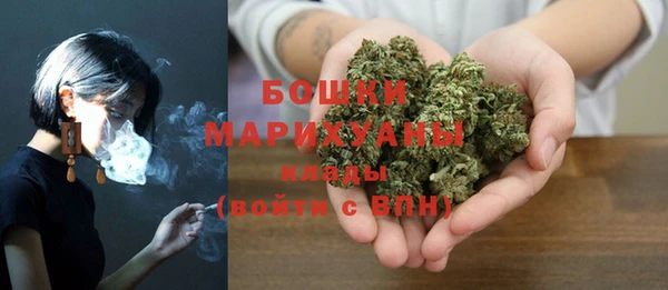 мдпв Богородицк