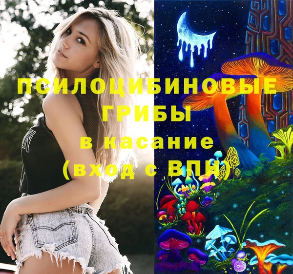 мдпв Богородицк