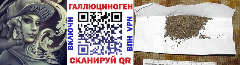 Псилоцибиновые грибы Magic Shrooms Можга